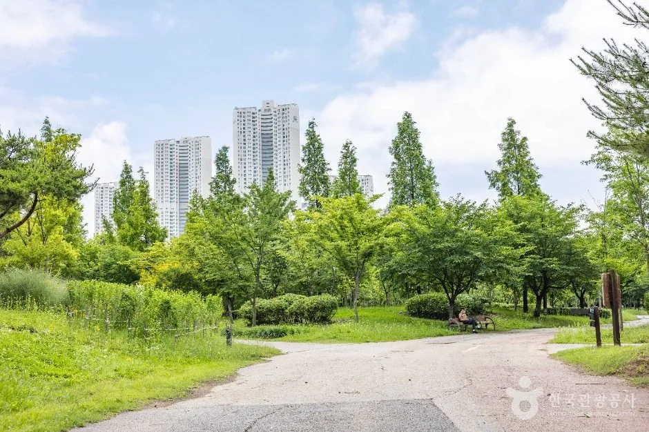 인천_늘솔길공원 (6)