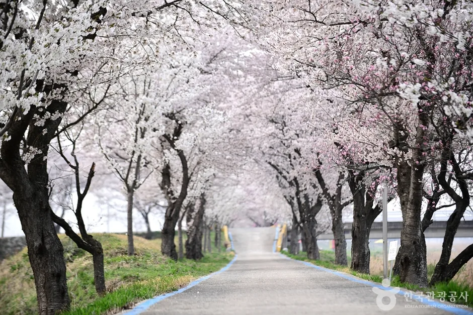 전남_구례_구례 관광특구 (32)