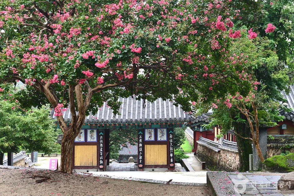 전남_구례_구례 관광특구 (41)