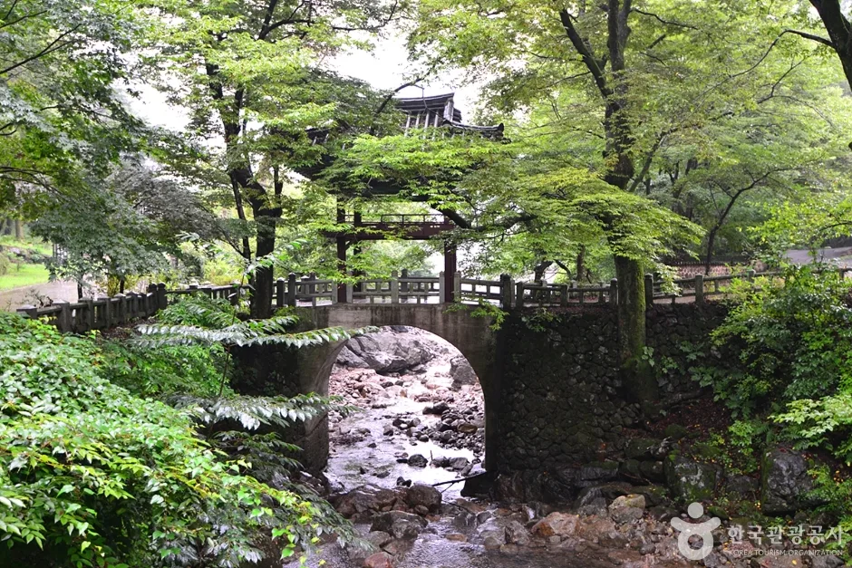 전남_구례_구례 관광특구 (4)