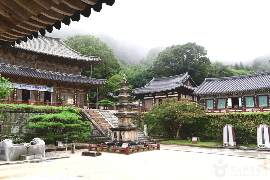 전남_구례_구례 관광특구 (38)