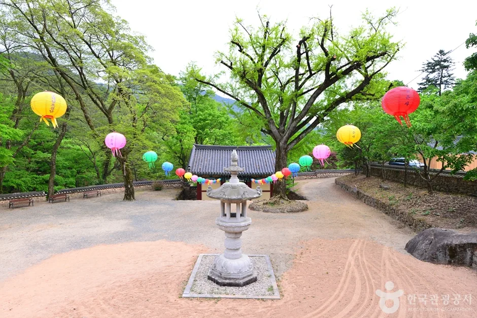 전남_구례_구례 관광특구 (34)