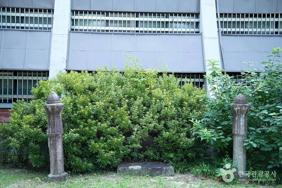 강원대학교중앙박물관 (13)