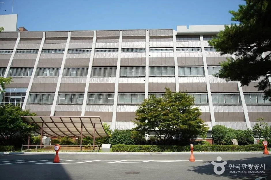 강원대학교중앙박물관 (17)