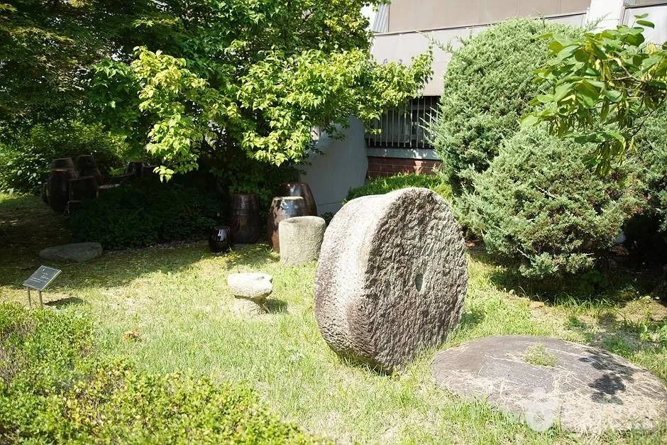 강원대학교중앙박물관 (16)