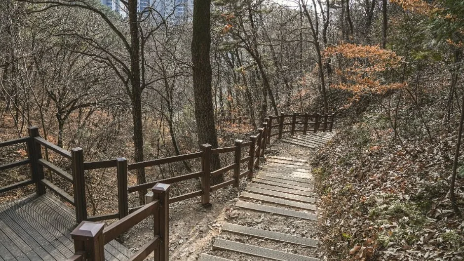 창원_팔룡산 돌탑공원 (4)
