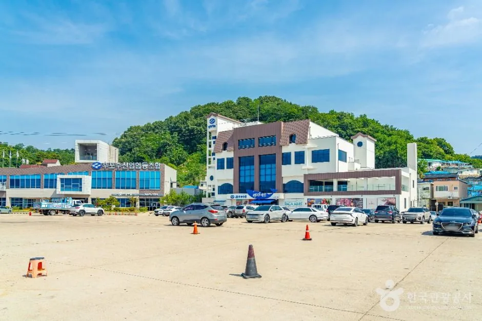울진_한마음광장 (4)