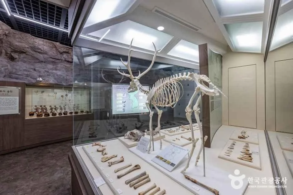 단양_수양개선사유물전시관 (5).jpg