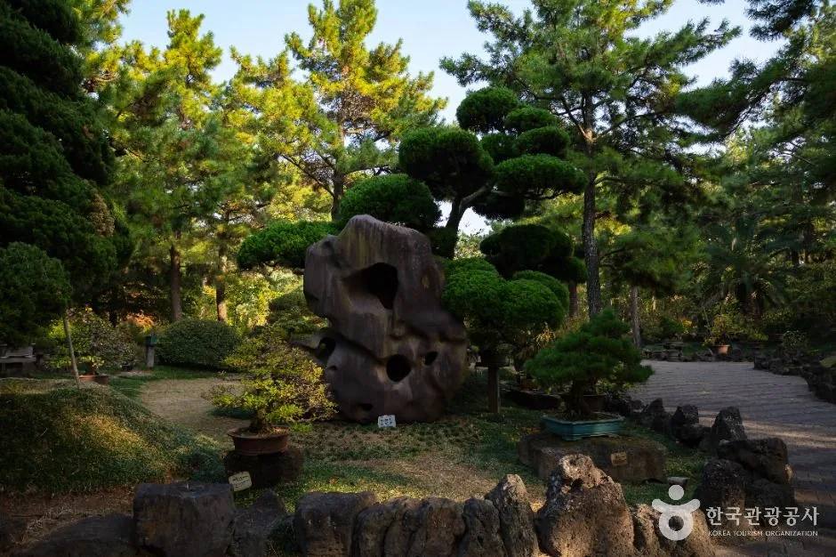 제주_쌍용굴(한림공원) (3)