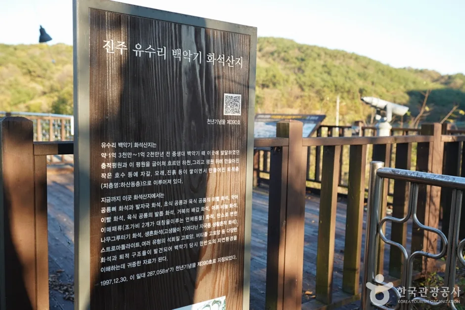 경남_진주_진주 유수리 백악기화석 산지 (11)