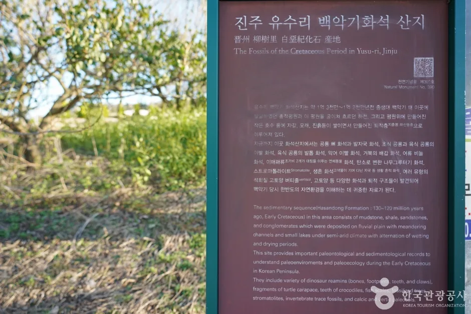 시공간을 넘어 색다른 감동을 마주하는 진주 문화 탐방_경남_진주_진주 유수리 백악기 하성퇴적층_5.JPG