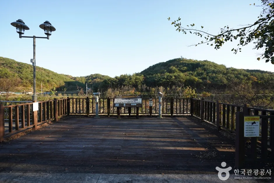 경남_진주_진주 유수리 백악기화석 산지 (12)