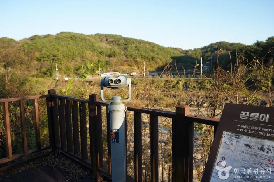 경남_진주_진주 유수리 백악기화석 산지 (9)