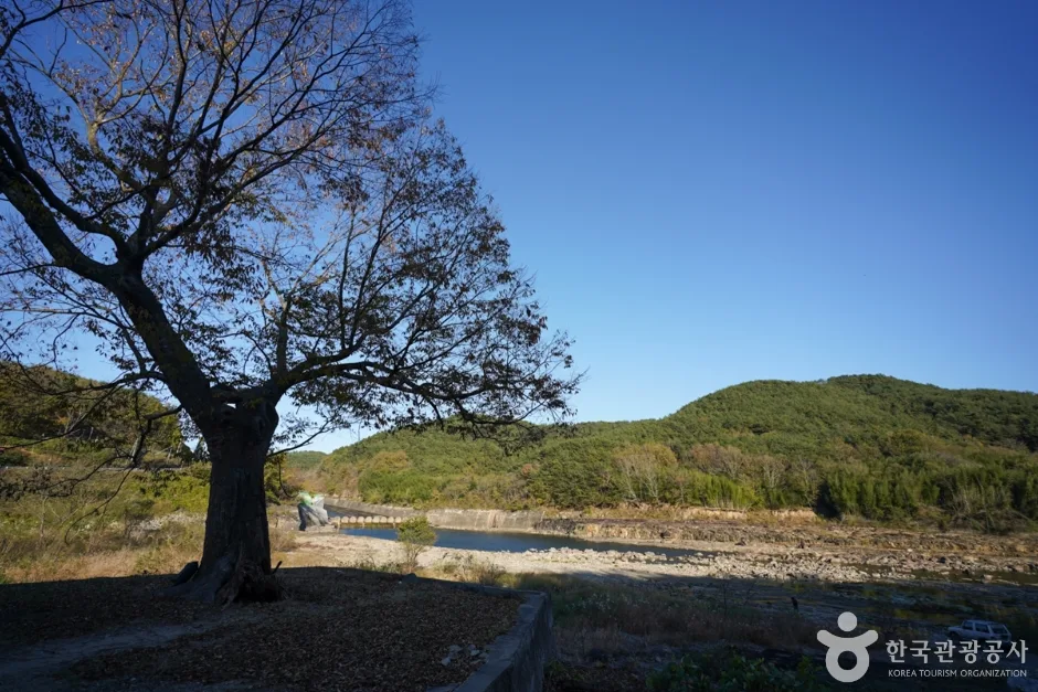 시공간을 넘어 색다른 감동을 마주하는 진주 문화 탐방_경남_진주_진주 유수리 백악기 하성퇴적층_3.JPG