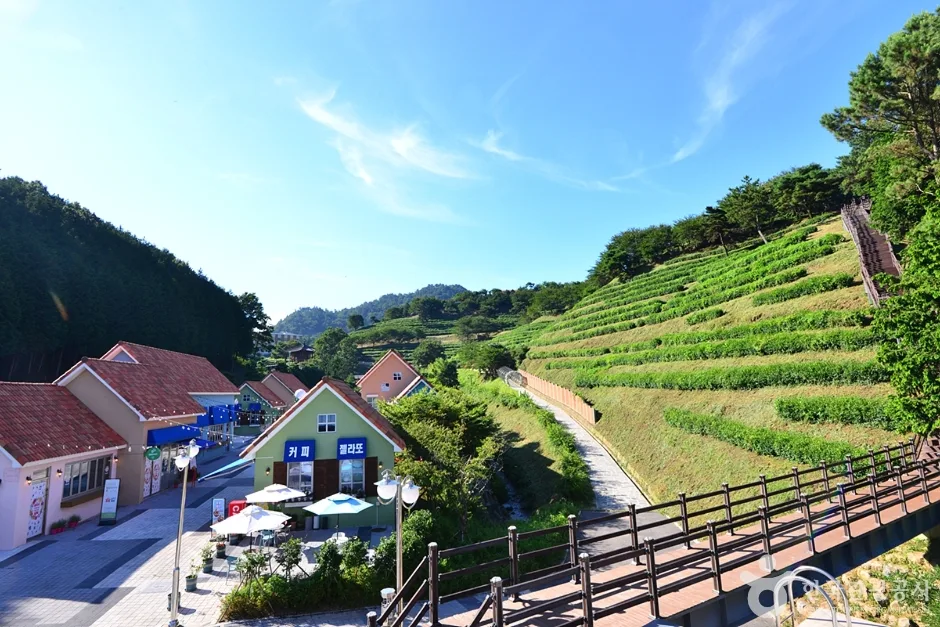 전남_보성_다향아트밸리 (9)