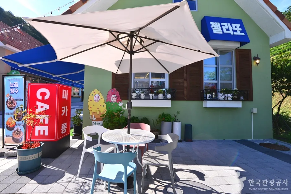 전남_보성_다향아트밸리 (1)