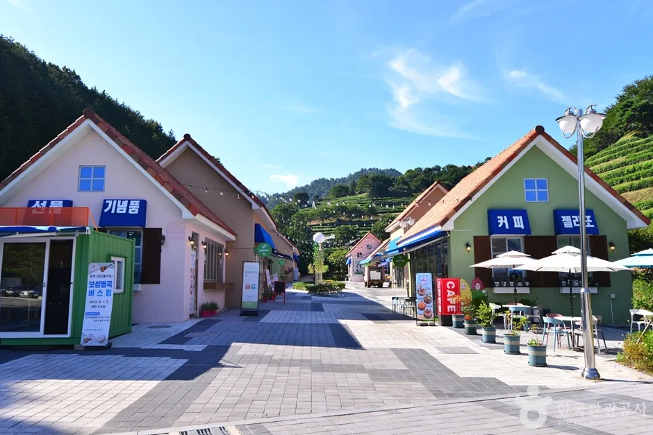 전남_보성_다향아트밸리 (1)