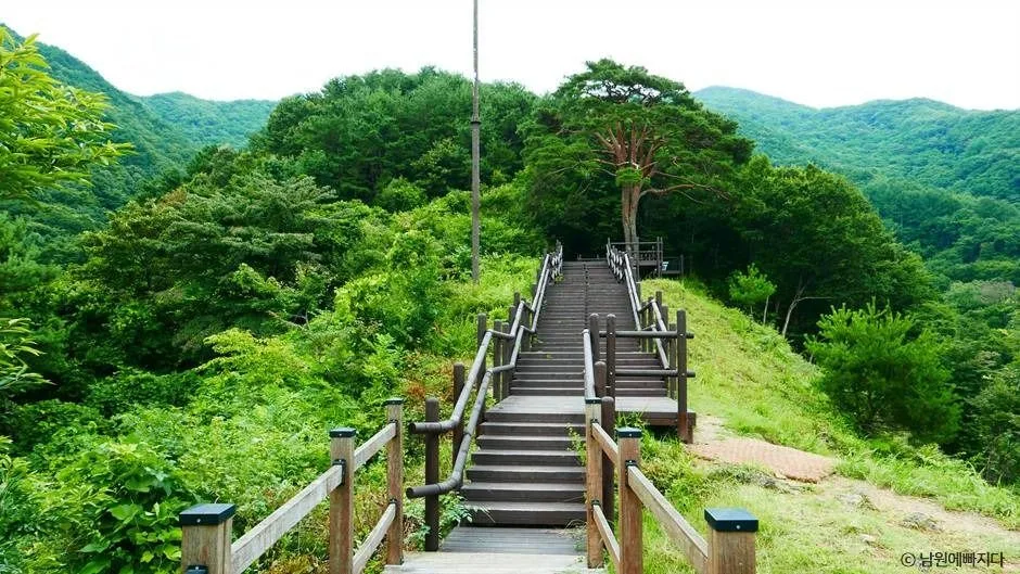 남원_지리산 천년송 (5)
