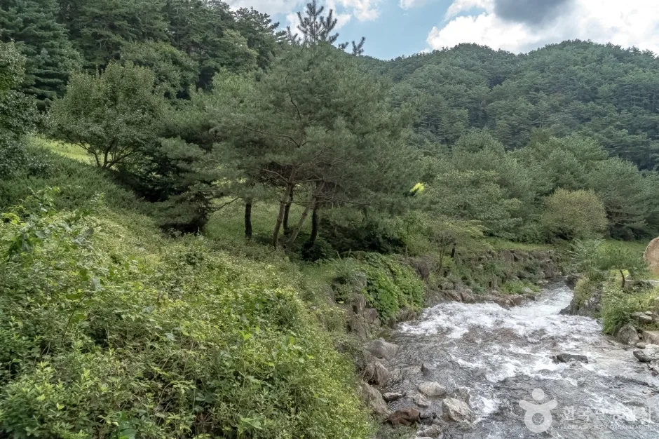 김삿갓 묘역 (17)