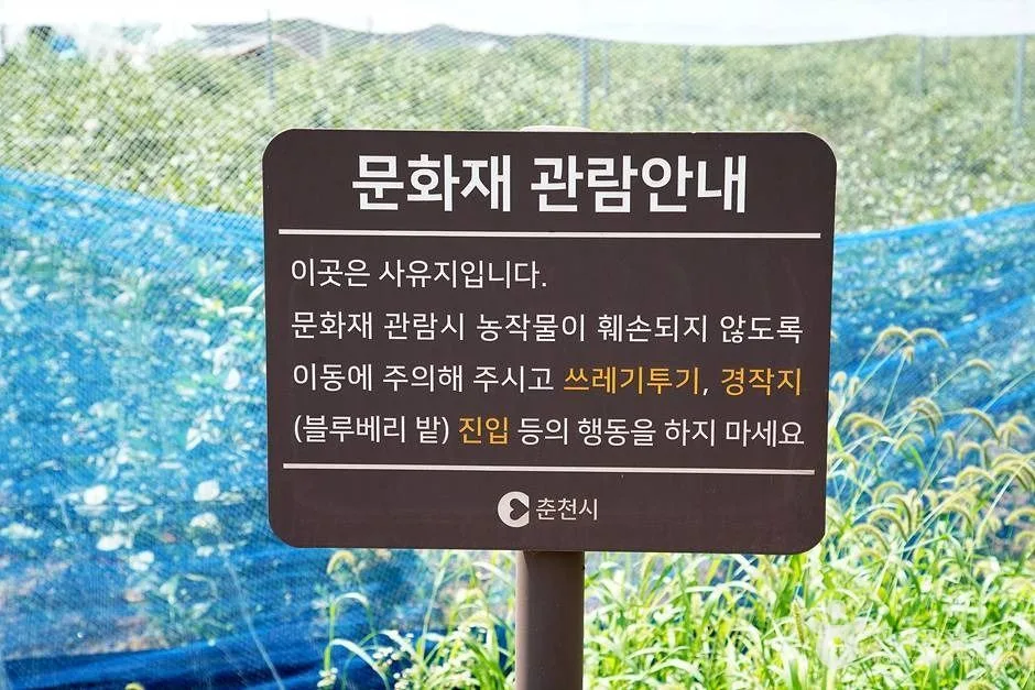 서상리삼층석탑 (17)