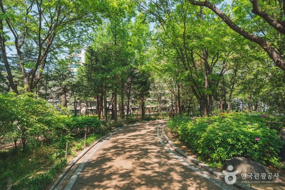 서울_도산공원 (5)