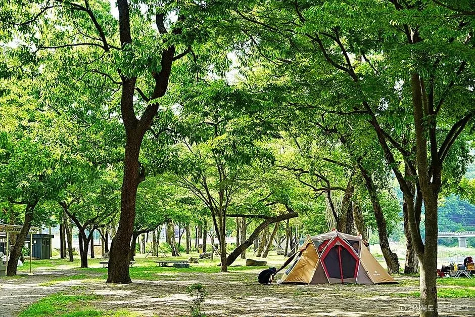 고령_고령 신촌숲 (4)