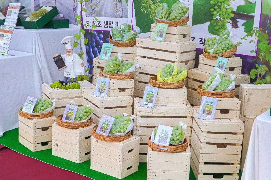 2025 화성시 도농 어울림축제 리플렛 2