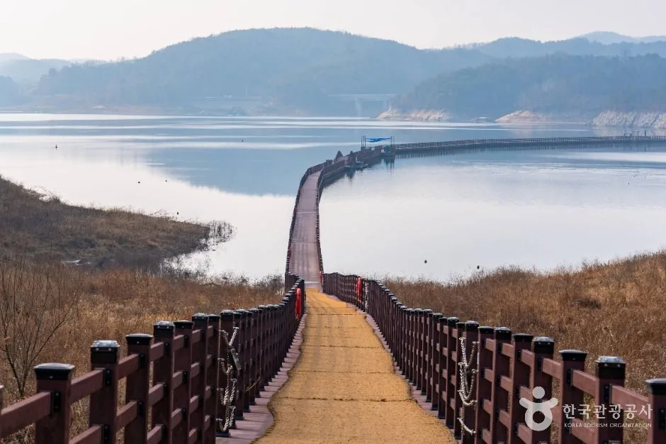 안동_안동호반자연휴양림 (3)