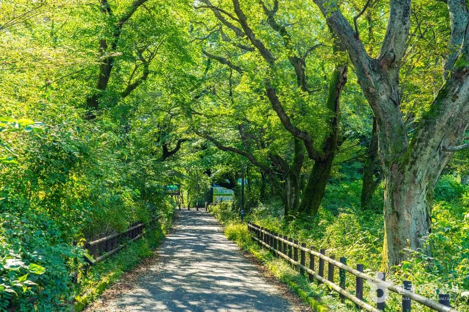 공주_공주 갑사 철당간 (4)