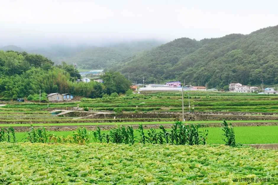 남해_유포어촌체험마을 (2).jpg