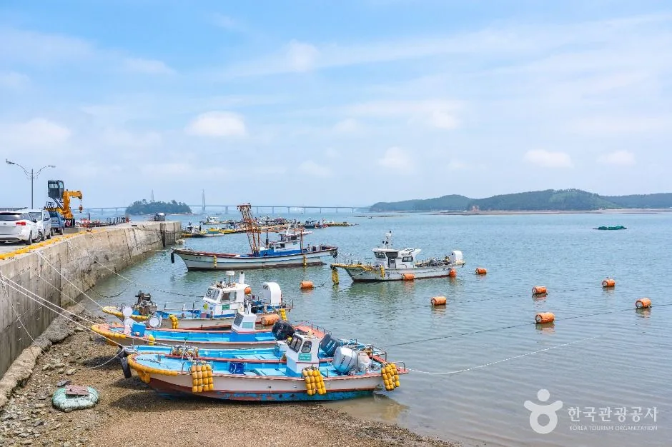 보령_초전항 (4)