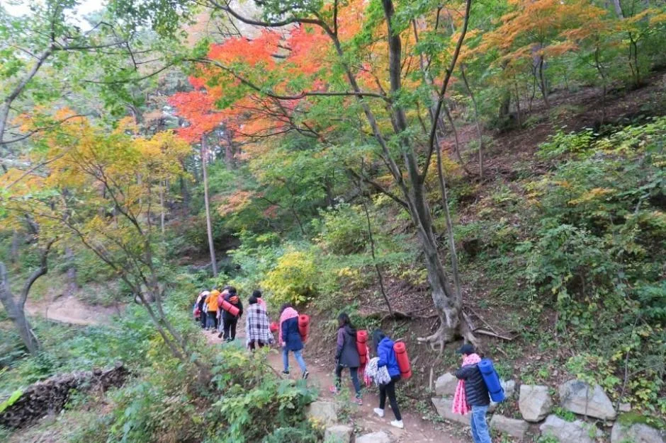 강릉_국립대관령치유의숲 (2)