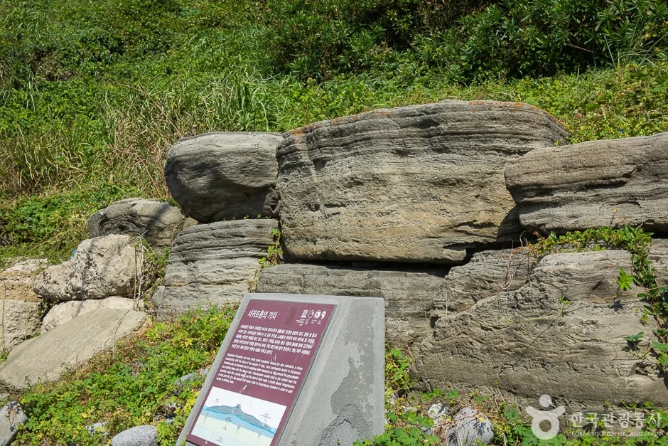 서귀포해양도립공원 (13)