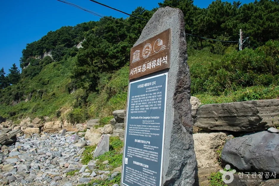 서귀포해양도립공원 (14)