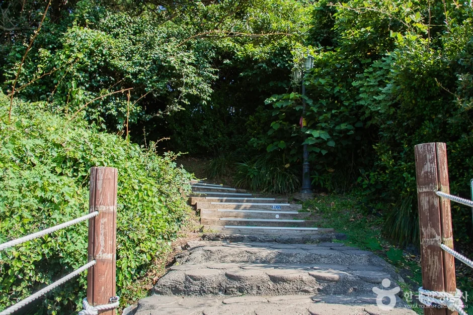 서귀포해양도립공원 (8)