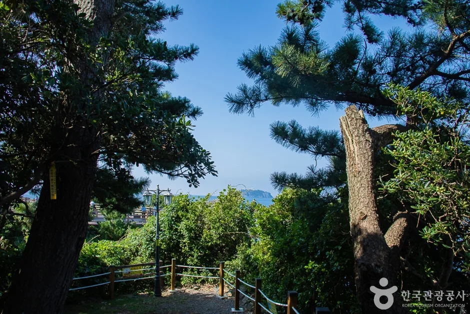서귀포해양도립공원 (3)