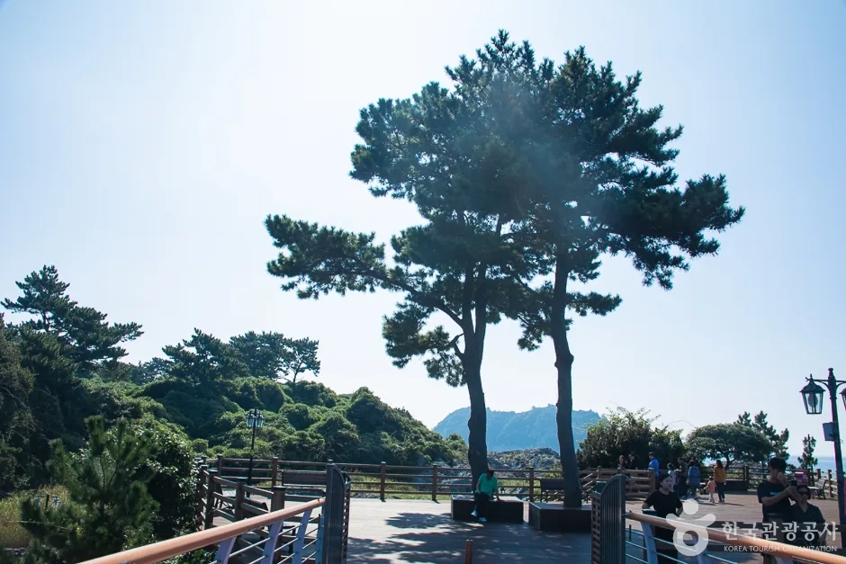 서귀포해양도립공원 (11)