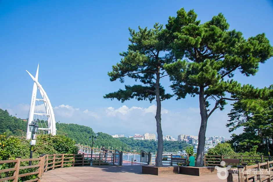 서귀포해양도립공원 (9)
