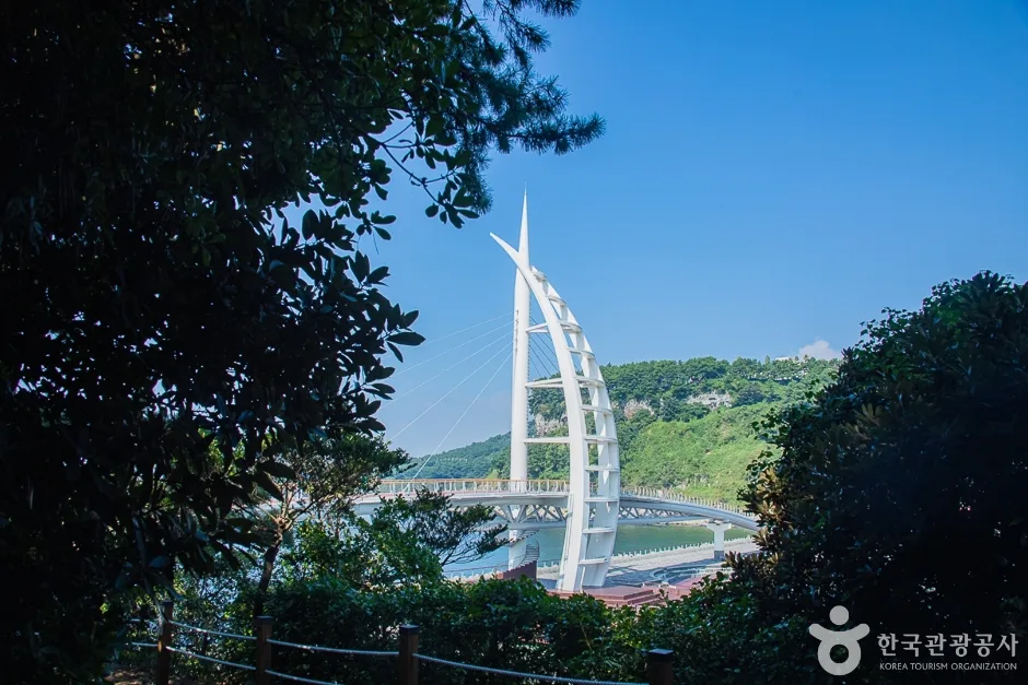 서귀포해양도립공원 (4)