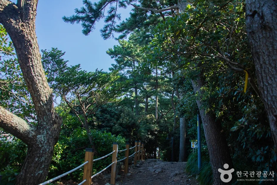 서귀포해양도립공원 (7)