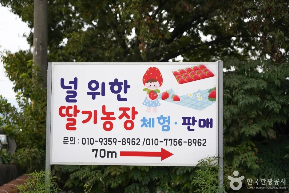 널위한딸기농장