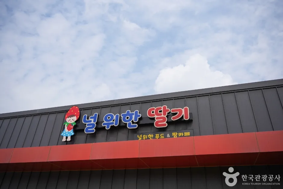 널위한딸기농장 (3)