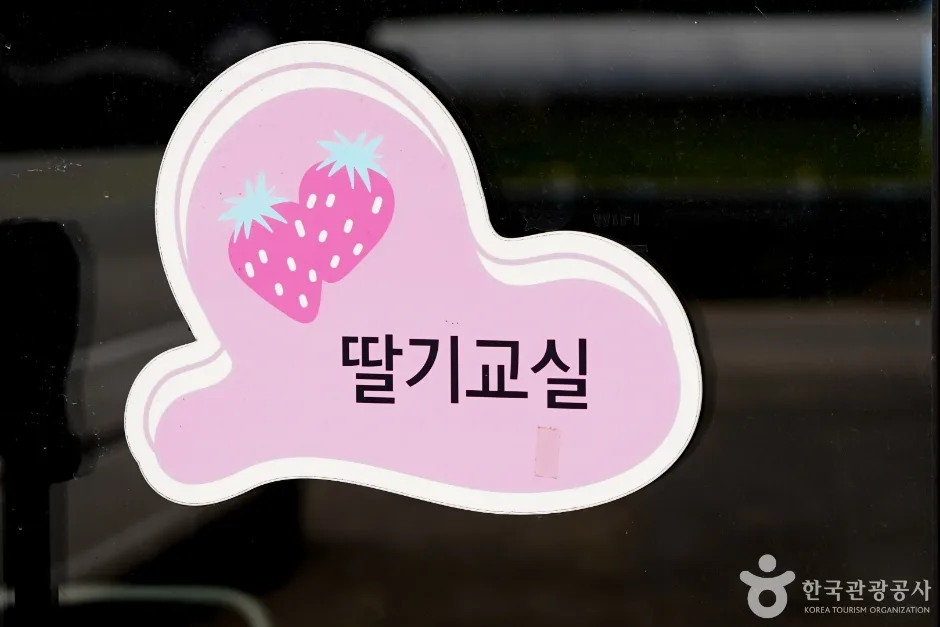널위한딸기농장 (4)