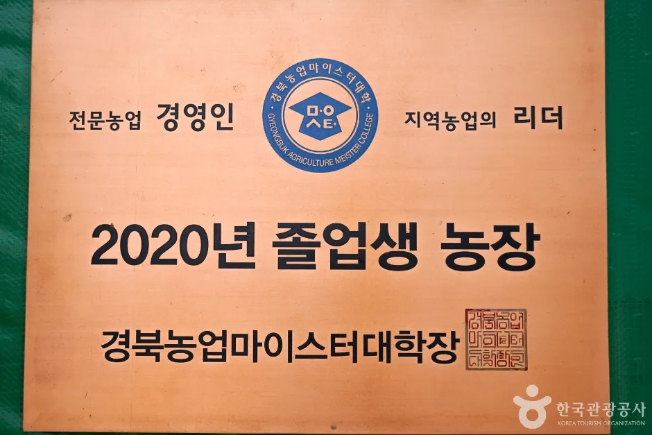 널위한딸기농장 (5)