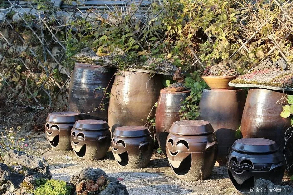 충주_충주 최응성 고가 (8)