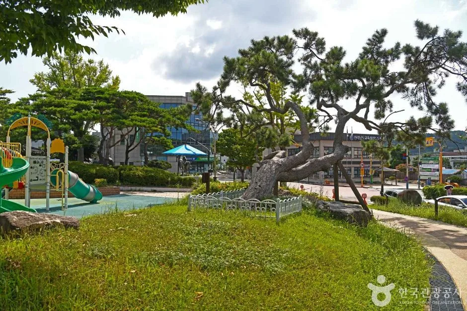 진도_철마공원 (4)