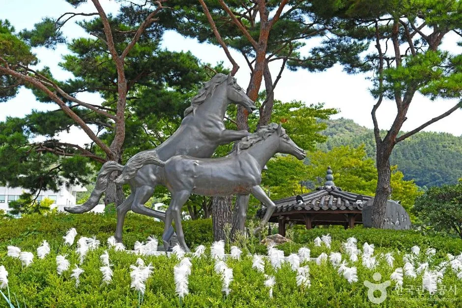 진도_철마공원 (3)