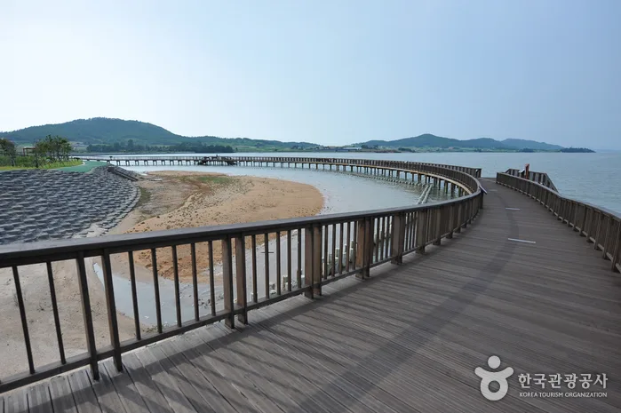 해안 따라 보물이 가득한 무안 낙지길을 걷자.
