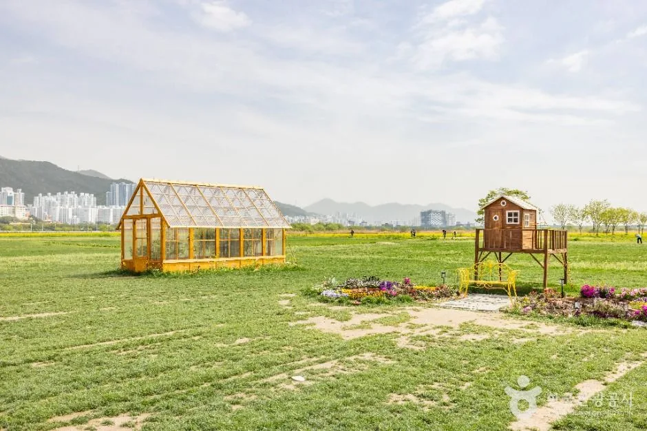 부산_대저생태공원 (4)