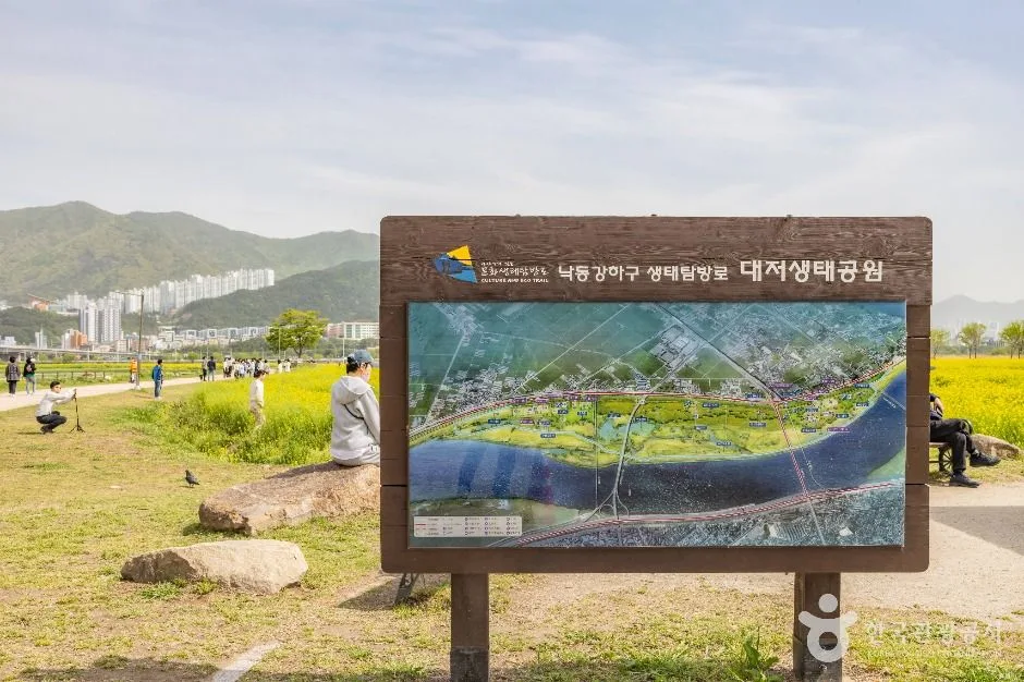부산_대저생태공원 (18)
